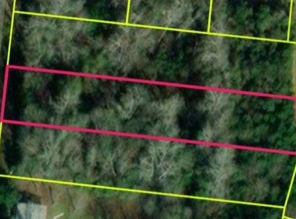 Cypress Avenue, Denmark, SC 29042