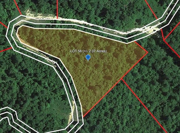 194 GERBER DAISY TRAIL, BRAGG, WV 25918