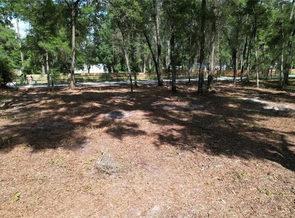 SE 30TH Avenue, SUMMERFIELD, FL 34491