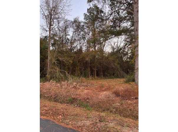 9680 Clash Lane, Lynchburg, SC 29080