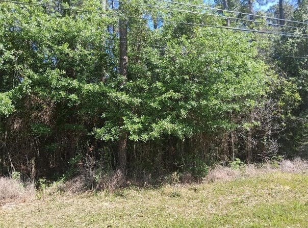Clearview Drive, Theodore, AL 36582
