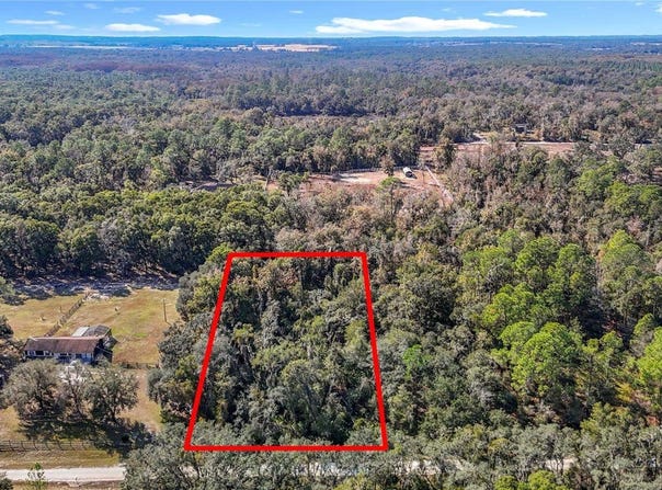 7241 Sonia Avenue, Webster, FL 33597