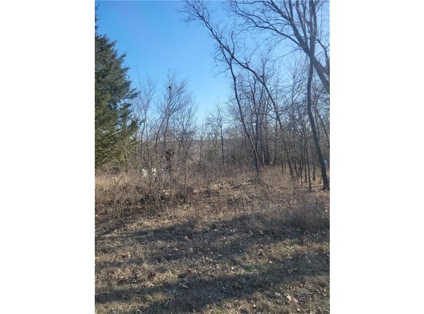 98 Maple Drive, Linn Valley, KS 66040