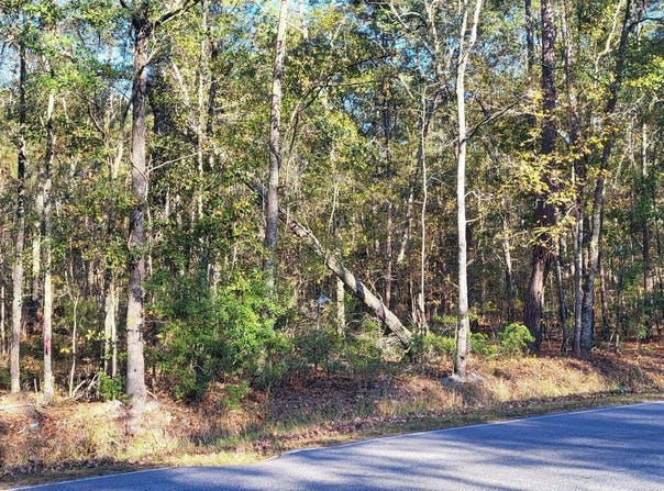 409 Wade Hampton Road, Hampton, SC 29924
