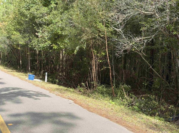 104 Cypress Rd, Satsuma, FL 32189