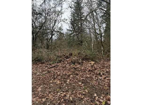 Hutchinson Rd, Rainier, OR 97048