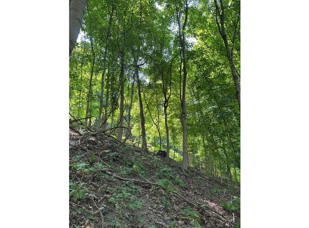 Ripple Rd, Mc Keesport, PA 15131