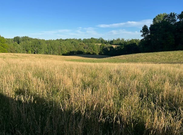 4783 Randolph Road, Edmonton, KY 42129