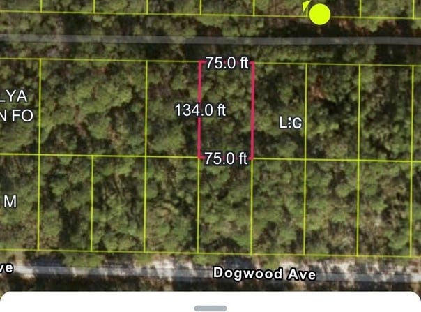 115 Palm Way, Georgetown, FL 32139