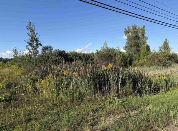 State Highway 37, Massena, NY 13662