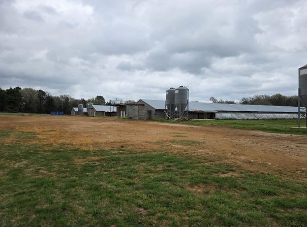 1886 Opossum Rd, Pittsburg, TX 75686