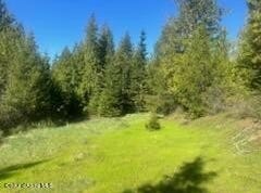 Balsam Ln, St. Maries, ID 83861