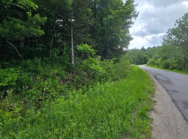 Williams Rd, Gouverneur, NY 13642