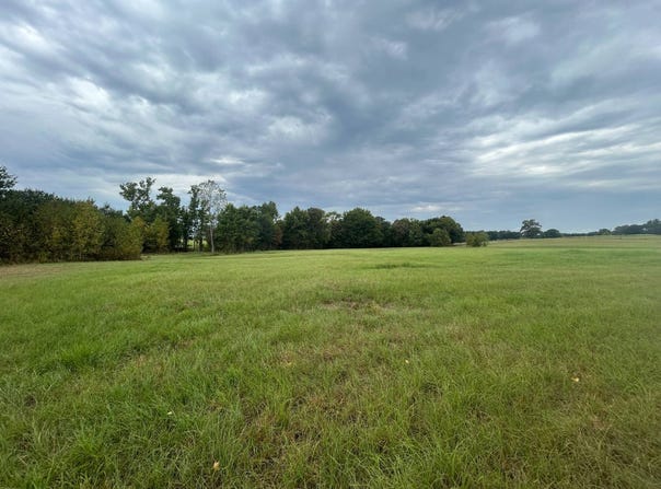 6427 W Creek Road, Ozark, AR 72949