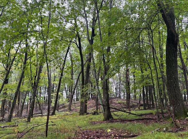 DOEDE Road, IOLA, WI 54945