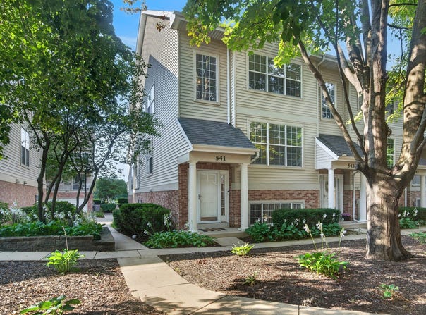 541 Pheasant Trail, St. Charles, IL 60174