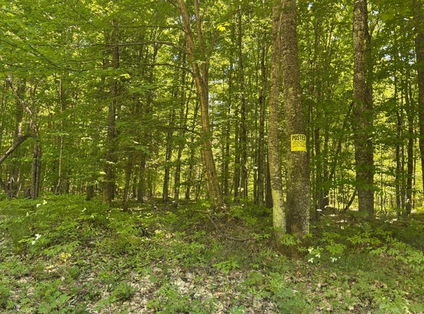 Osborn Dr, McMillan, MI 49853
