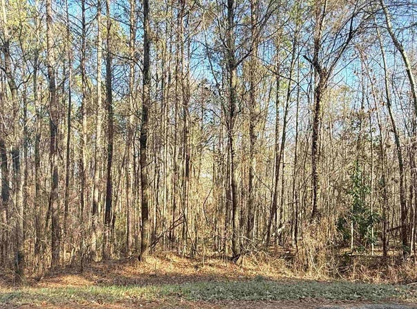 HIGHLAND STREET lot: 8, GLENCOE, AL 35903