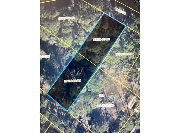 Lake Drive, Leesville, SC 29070