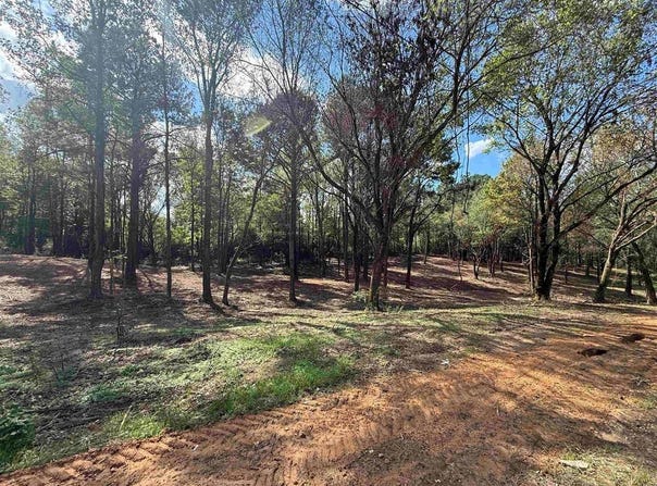 232 Co Rd 1123, Vinemont, AL 35179