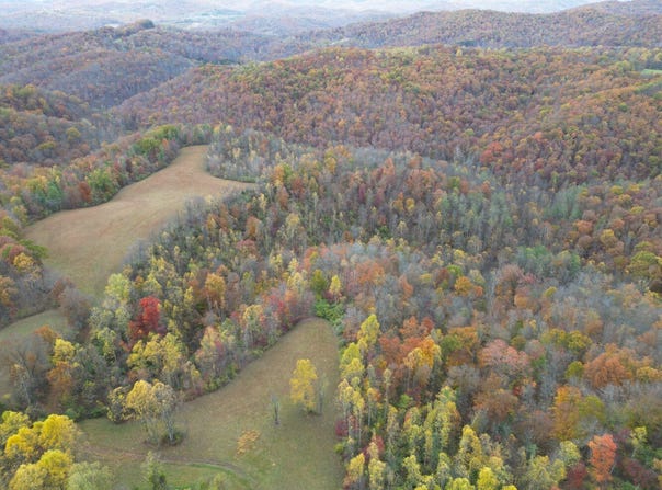 TBD Painters Fork, Frametown, WV 26623