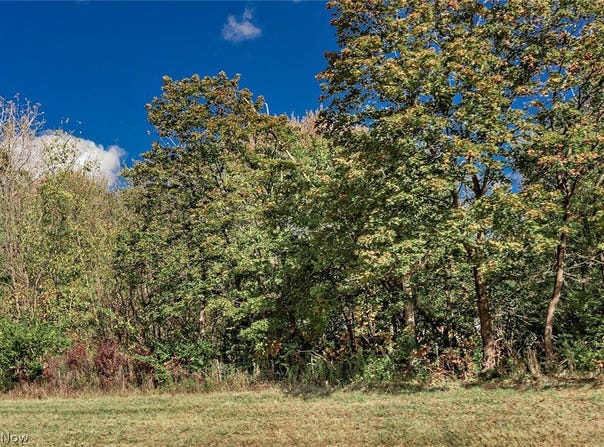 V/L Schady Road, Olmsted Twp, OH 44138