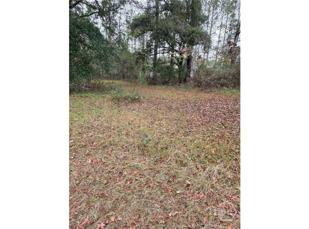 861 Brinson Road, Brooklet, GA 30415