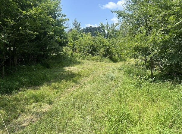 Bushwack Road, Golconda, IL 62938