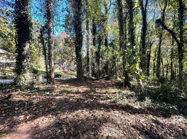 1060 De Leon Drive, Clarkston, GA 30021