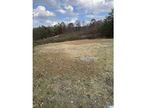 4329 HATHAWAY LANE lot: 502, MOUNT OLIVE, AL 35117
