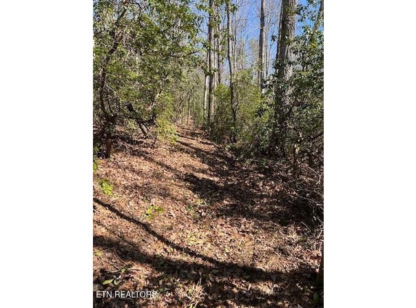 Cliff Park Rd, Monterey, TN 38574