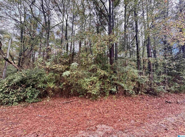 275 JONESBORO CIRCLE, COLUMBIANA, AL 35051