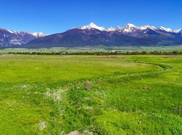 NHN Bigfoot Trail, St Ignatius, MT 59865
