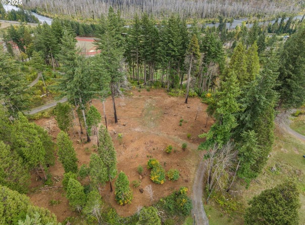51209 BLUE RIVER Dr, Vida, OR 97488