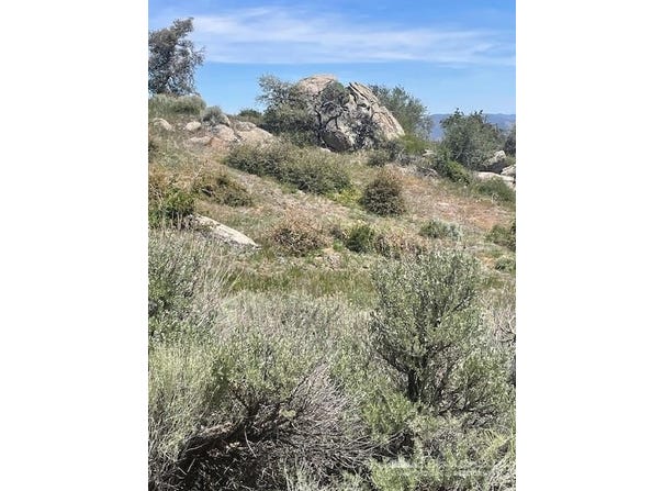 25260 Jacaranda Drive, Tehachapi, CA 93561