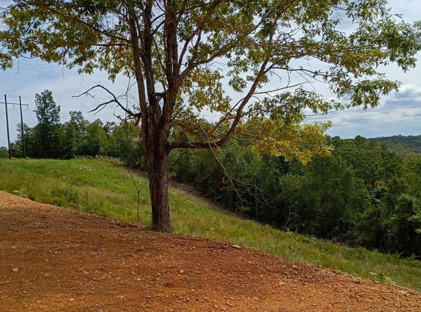 2556 Oakland Road, Clinton, AR 72031