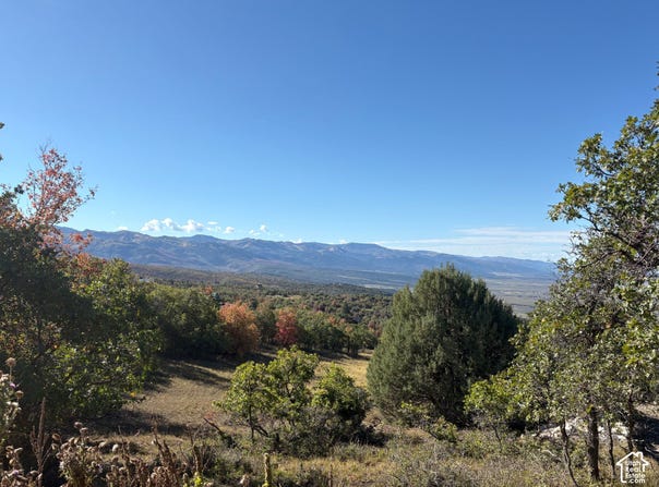 23220 N JUNIPER, Fairview, UT 84629