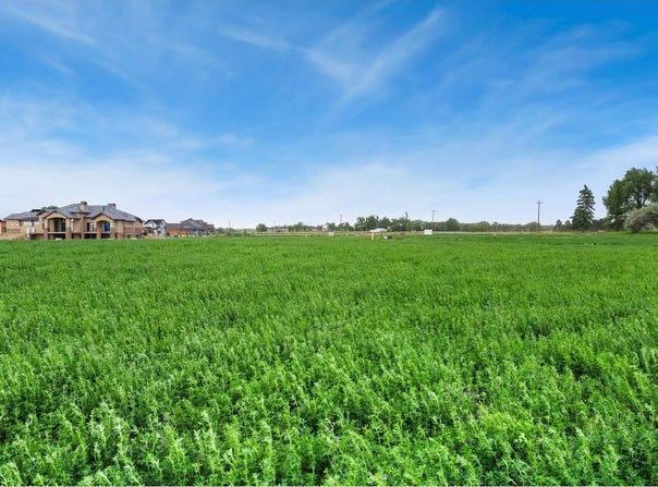 1574 Hauck Meadows Dr, Frederick, CO 80504