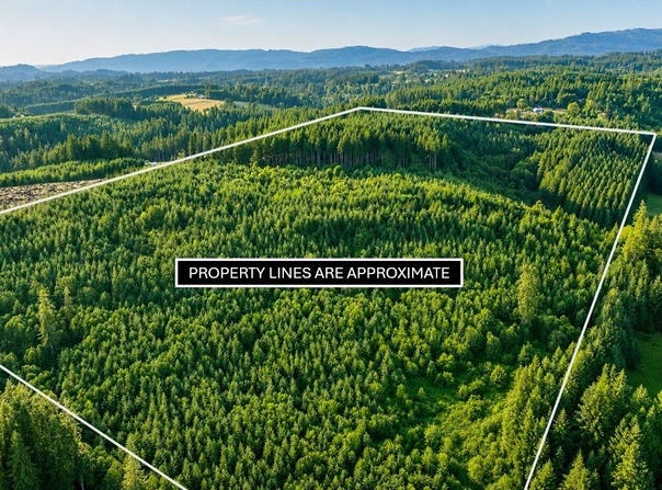 Finalburg Rd, LaCenter, WA 98629