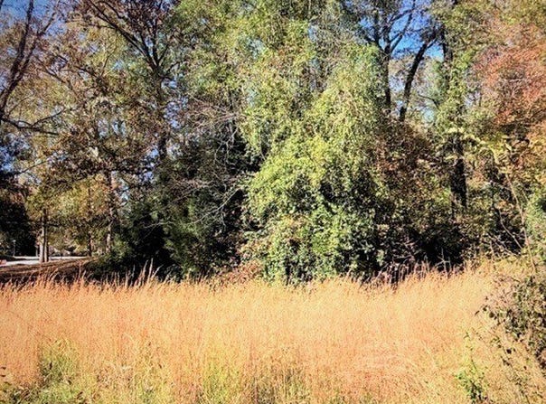Brookwood Circle, Elberton, GA 30635