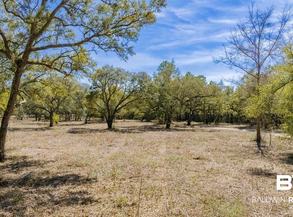 County Road 99, Lillian, AL 36549