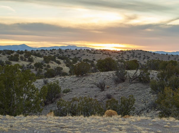 Abbe Springs Ranches Lot 115, Magdalena, NM 87825
