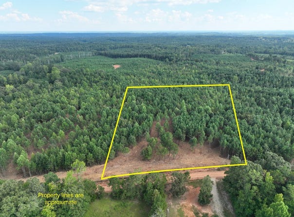 Williams Road, Wadley, AL 36276