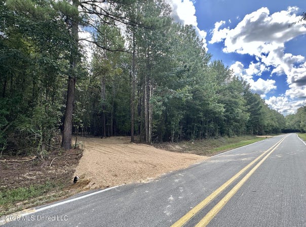 1 Clara Foote Rd, Braxton, MS 39044