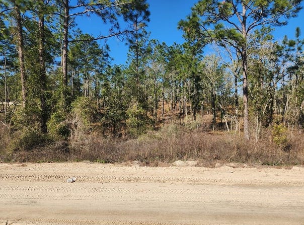 SE 148th Ave, Williston, FL 32696