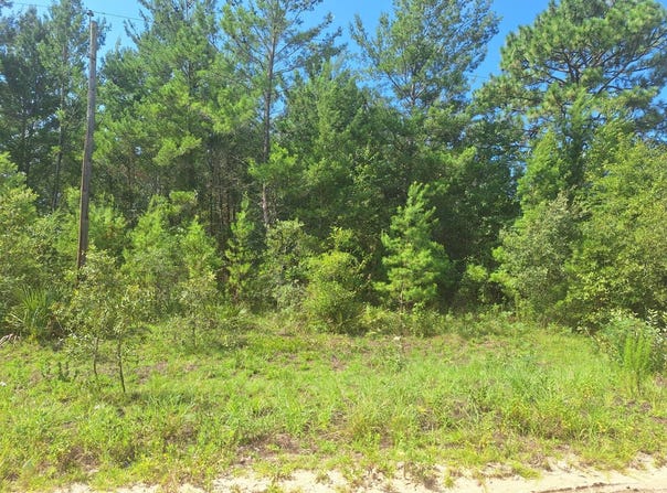 323 Interlachen Blvd, Interlachen, FL 32148