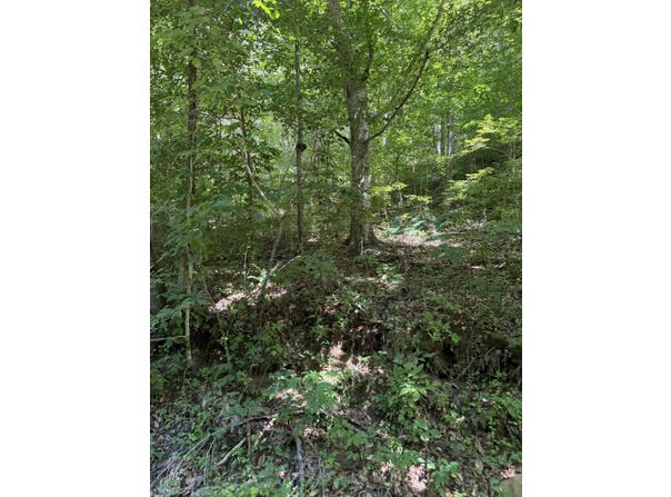 370 Roaring Fork Road, Walker, KY 40997