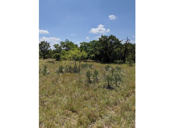 Co Rd 271, Rising Star, TX 76471