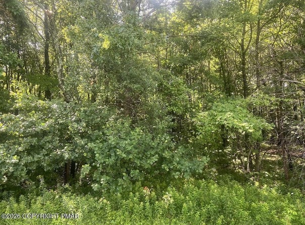 Sylvester Dr 303, Long Pond, PA 18334