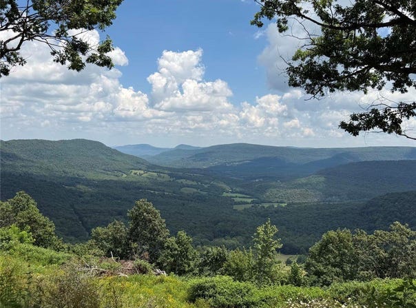 NC 6829 lot: 4, Jasper, AR 72641